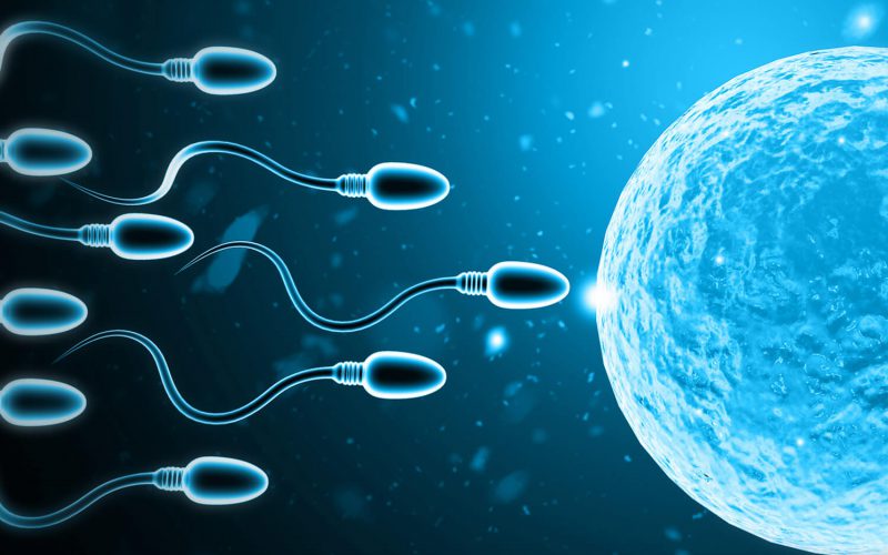 male-infertility