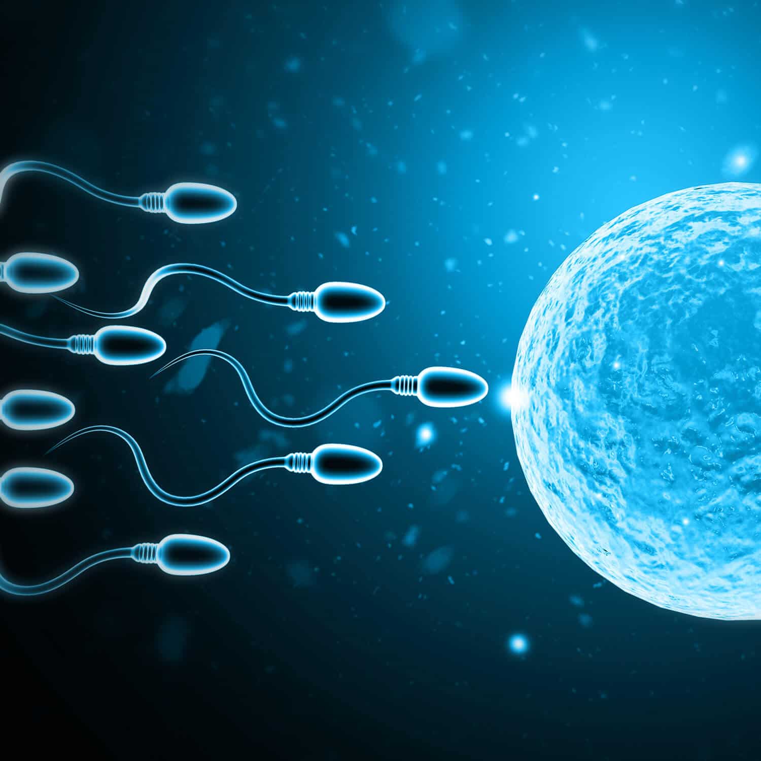 male-factor-infertility-is-icsi-the-answer-win